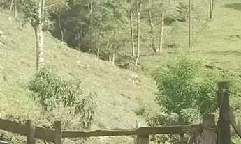 Imagem 4: Sítio para venda em Sodrelândia na Região Serrana em Trajano de Morais/RJ, 6,5 Alqueires