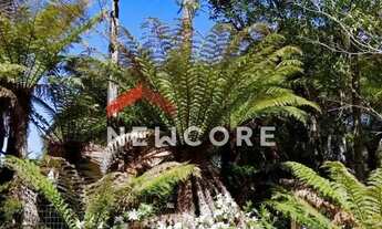 Imagem 7: Lote em condomínio em H92w+f2 São Francisco de Paula, Rs - Alpes - São Francisco de Paula