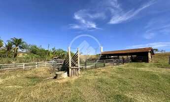 Imagem 6: Professor Jamil - Chácara de 7 Alqueires codigo: 161697