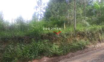 Imagem 5: Lote em vargedo - Vargedo - Juquitiba/SP