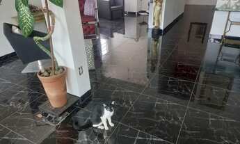 Imagem 4: Vendo um sobrado e uma casa, ideal para comércio no centro de Campo Grande MS