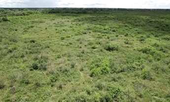 Imagem 6: VENDO FAZENDA PANTANAL POCONÉ 4.263 HAC