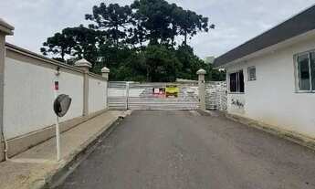 Imagem: Oportunidade Única em ALMIRANTE TAMANDARE