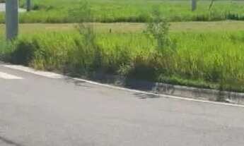 Imagem 2: Saia do aluguel construa já, parcelado sem comprovação de renda, sem consulta SPC-SERASA