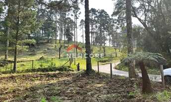 Imagem 4: Chácara em Estrada da Carapina - Vale do Carapina - São Francisco de Paula/RS