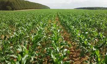 Imagem 2: Fazenda de 6.300 hectares em Bonfinopolis-MG