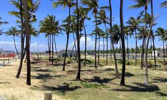 Imagem 4: LOTE NO VILLAREDO BARRA [27947