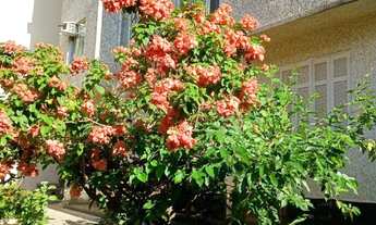 Imagem: Apartamento na Glória (Já possui corretor