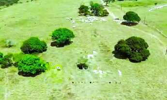 Imagem 5: Fazenda de 530 Tarefas - Dores