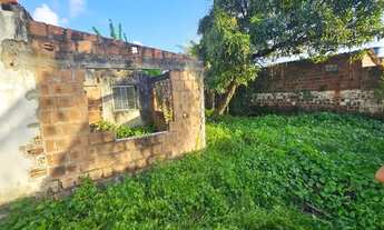 Imagem 3: Casa em Paulista Lot. Conceição