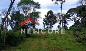 Imagem 6: Lote em Est Rincão dos Kroeff - Rincão do kroeff - São Francisco de Paula/RS