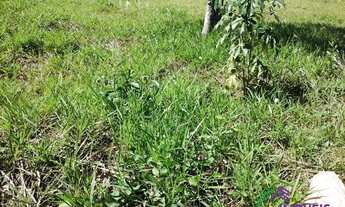 Imagem 5: TERRENO - CHÁCARAS SILVANIA - SP