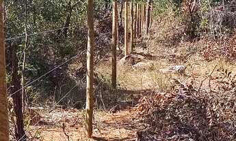 Imagem 7: Chácara terreno 8000m² trevo SJLAGOA