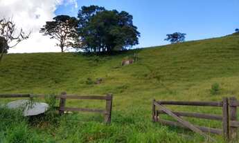 Imagem 3: Sítio 48.000 m2 no sul de Minas Gerais