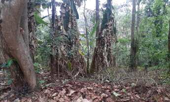 Imagem 5: Terreno para Venda em Cotia, Granja Viana
