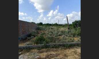 Imagem 6: Lote/Terreno FINANCIADO em Carapibus - Conde - PB com parcelas mensais de 450,00