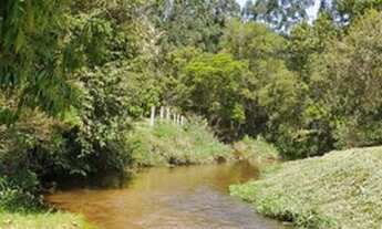 Imagem 3: VALE DA FELICIDADE, LOCAÇÃO