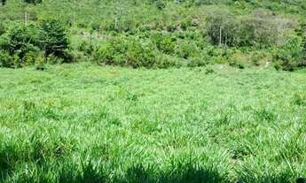 Imagem 3: Assentamento Canaã salobra