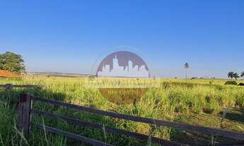 Imagem 3: Fazenda à venda na região de Jales com 220 alqueires