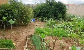 Imagem 3: Terreno 11x 25 Jd derminio