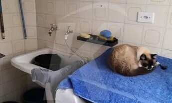 Imagem 5: Apartamento de 69 m na Vila Galvão