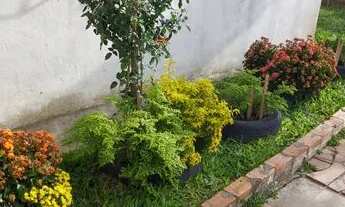 Imagem 5: Vendo apartamento 2 quartos - bairro Rubem Berta