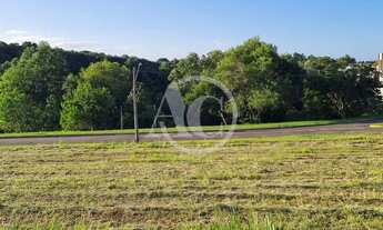 Imagem 6: Terreno a venda, Jardins Veneza, FGR, leve aclive com linda vista para mata atlântica, Int