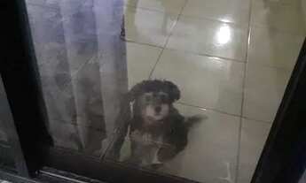 Imagem 6: Casa 2 quartos Casa com 2 dormitórios