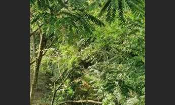 Imagem 6: Terreno 420 m2 Alphaville - Tamboré - Itahyê