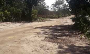 Imagem 2: TERRENOS 10X30 ALTER DO CHÃO