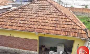 Imagem: São Paulo - Casa Padrão - Santana