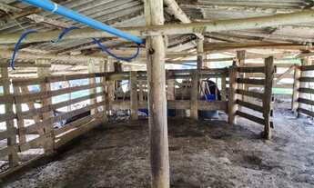 Imagem 4: Sítio São Francisco