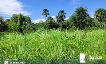 Imagem 6: Fazenda as margens da BR-153