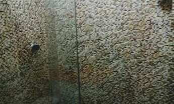 Imagem 2: Alugo um apartamento em Imbassaí cond. Praia Bela