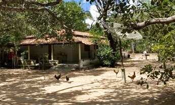 Imagem 4: Sítio de 4,5(ha