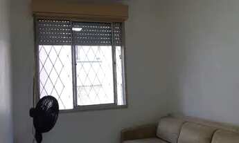 Imagem 5: Alugo apto. Direto