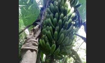 Imagem 6: Vendo ? Casa com 4 dormitórios