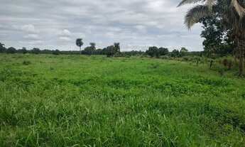 Imagem 4: Linda fazendinha de 211 Hectares..