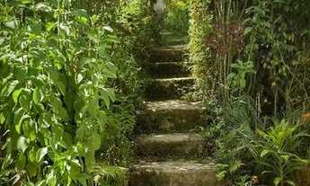 Imagem 4: Casa rústica longe da cidade