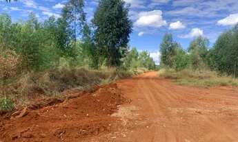 Imagem 7: Chácara 20.000m², toda área terra de cultivo, excelente topografia, agua, Jaboticatubas