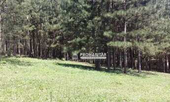 Imagem 6: Sítio à venda, 32000 m² por R$ 1.400.000,00 - Parelheiros - São Paulo/SP