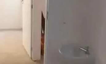 Imagem 6: Apartamento com 2 Quarto(s) e 1 banheiro(s) para Alugar, 42 m² por R$ 2077 / Mês