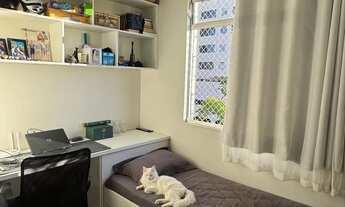 Imagem 7: Apartamento de 2 quartos - Bairro Castelo