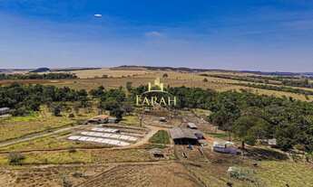 Imagem 4: FAZENDA PRODUTIVA|DUPLA APTIDÃO|AGRICULTURA|PECUÁRIA|LATICÍNIO