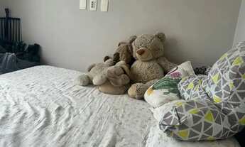 Imagem 3: Magnífica cobertura duplex , centro de Itaborai