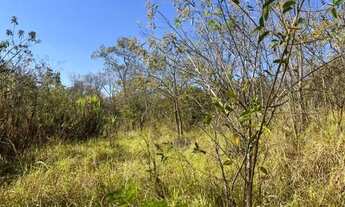Imagem 5: Excelente terreno rural de 9,5 hectares, com casa, lagoa, pomar produzindo e curral