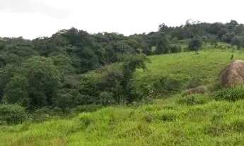 Imagem 6: Terreno para investidor em São Roque !