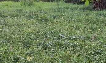 Imagem 4: Venda-se está propriedade de 20.000 m² no Município de Kennedy/ES