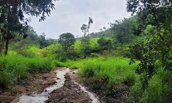 Imagem 5: FAZENDA 337 ALQUEIRES NIQUELANDIA - GO