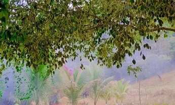 Imagem 6: Fazenda São Vicente Urucânia MG